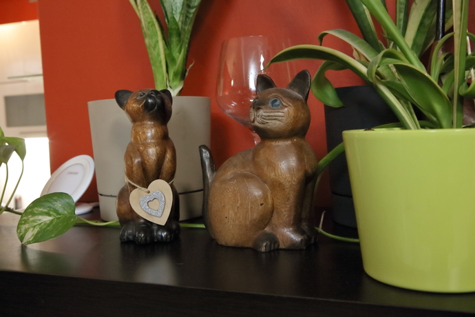 Dříve jejich domácnosti kralovali dva kocouři, tady je malá vzpomínka na ně.