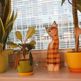 A ještě jednou vzpomínka na milované kocoury.