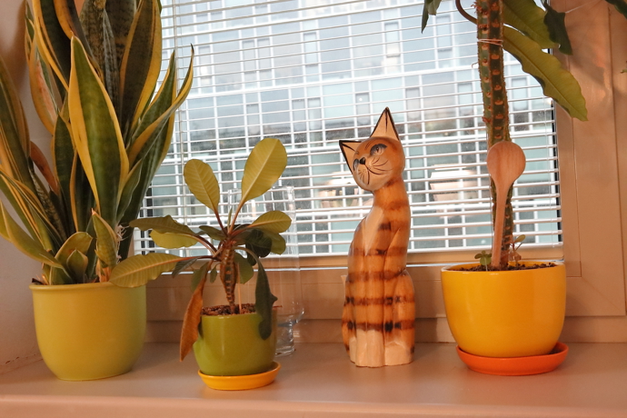 A ještě jednou vzpomínka na milované kocoury.