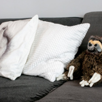 Gauč a dekorace v obývacím pokoji, kde se relaxuje.