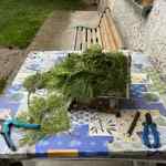 Největšími pomocníky jsou dva druhy zahradnických nůžek, na drátek a na přírodniny, a tenký zelený drátek z hobby marketu. 