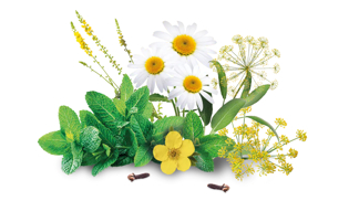 Recept na zdravé zuby a dásně? Je to snadné: „Naučit se již v dětství čistit zuby správně a vytrvat u toho,“ říká stomatolog Pavel Smažík 