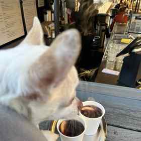 Pejsek Čenda dostal na zahřátí teplou deku a také misku s vodou. 