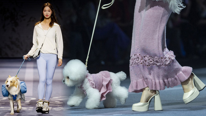 Móda pro psí miláčky: Na přehlídce se po mole prošli pejsci sladění se svými paničkami