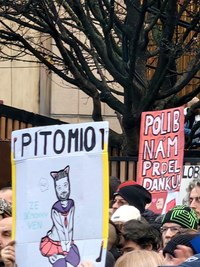 Demonstrace pořádaná spolkem Milion chvilek pro demokracii.