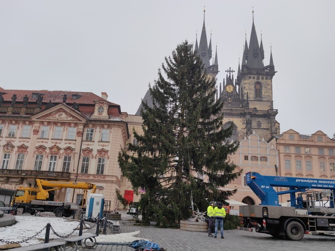 Vánoční strom na Staroměstském náměstí.