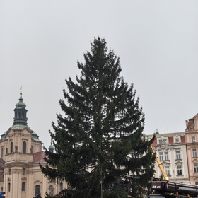 Vánoční strom na Staroměstském náměstí.
