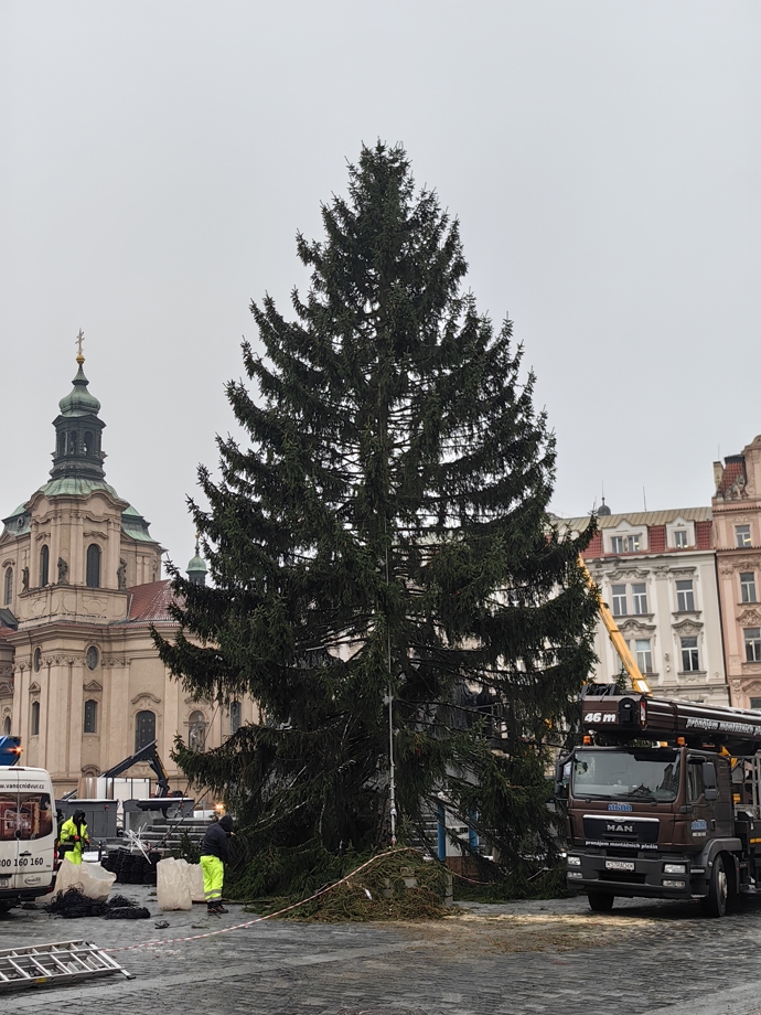 Vánoční strom na Staroměstském náměstí.