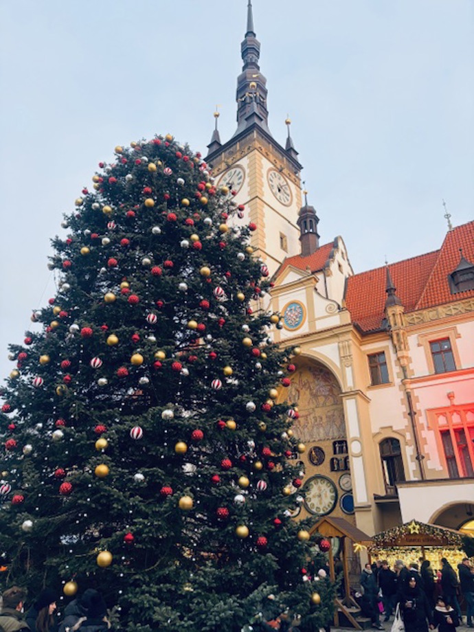 Takhle krásný vánoční strom už mají v Olomouci. 