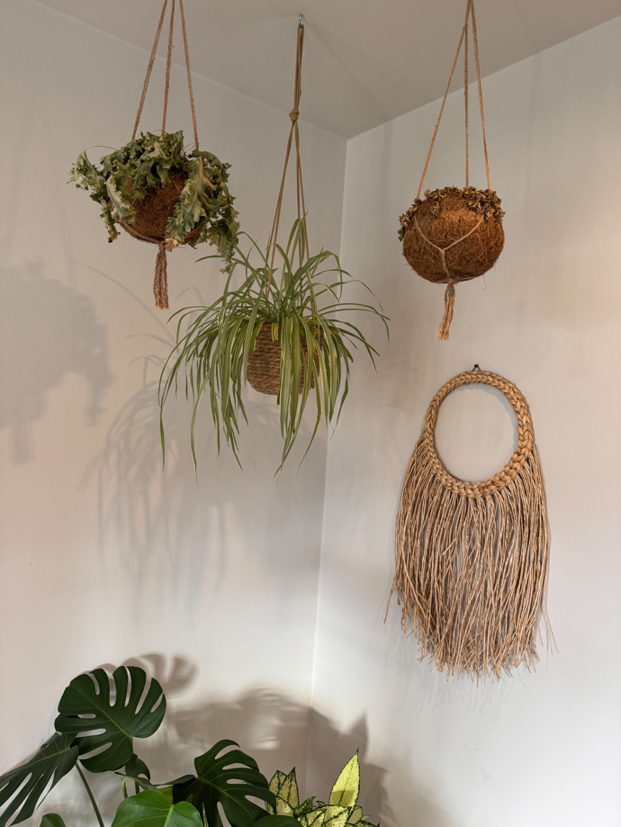 Manželé Ježkovi mají rádi rostliny, proto zdobí hlavně jejich joģa room.