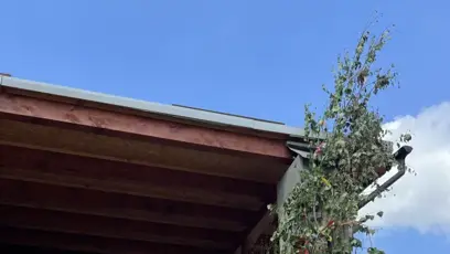 FOTO: Léčba stojí 600 000 Kč měsíčně.