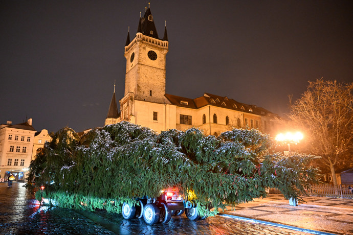Pracovníci přivážejí vánoční strom na Staroměstské náměstí.