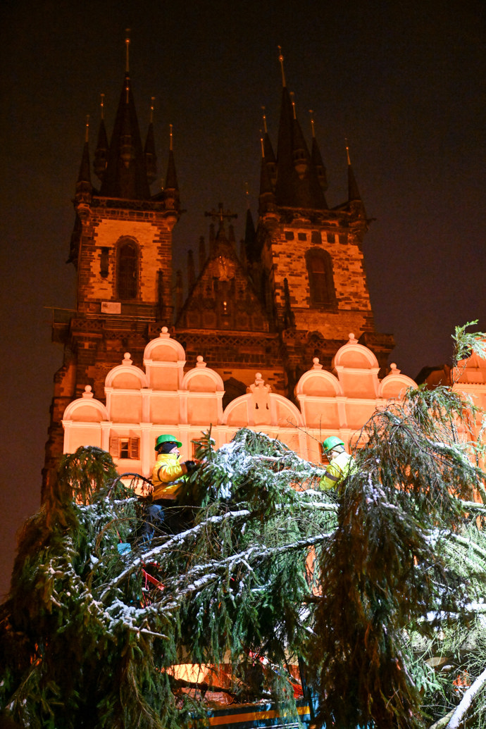 Pracovníci přivážejí vánoční strom na Staroměstské náměstí.