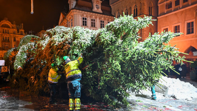 FOTO: Na Staromáku je stromeček.