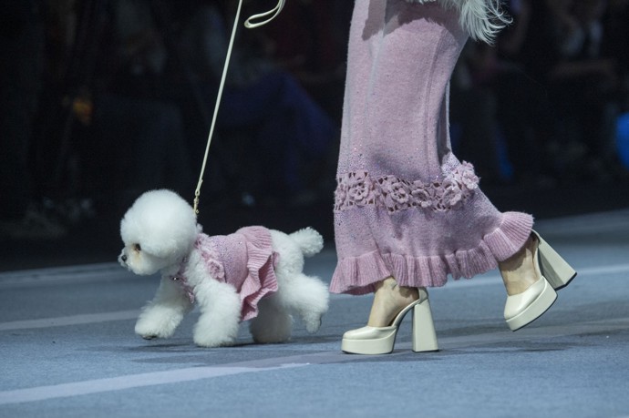 Jiné ladění dua pes-panička se neslo v extravagantnějším duchu.