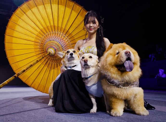 Čtyřnozí mazlíčci předvedli zajímavé kreace.