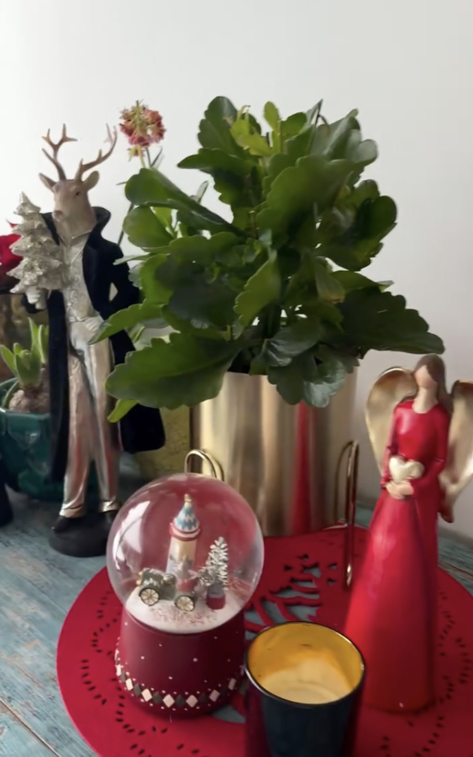 Vánoční výzdoba Agáty Hanychové.