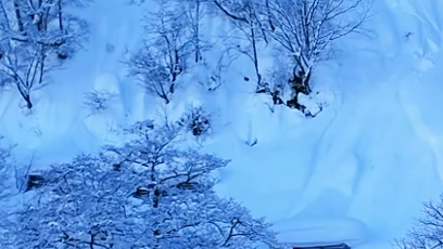 FOTO: Šárka Pančochová jela mezi stromy, kde ji zastihla lavina.