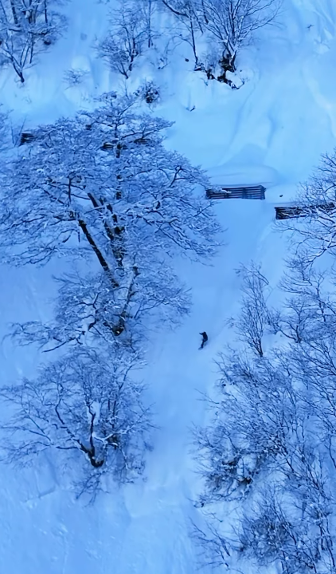 Šárka Pančochová jela mezi stromy, kde ji zastihla lavina. 