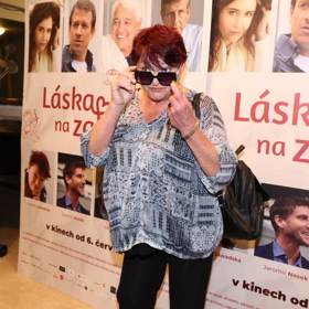 Valérii Zawadskou jste mohli vidět například ve filmech Rozpuštěný a vypuštěný nebo komedii Snowboarďáci.