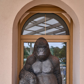 První, kdo vítá návštěvníky, je opičák.