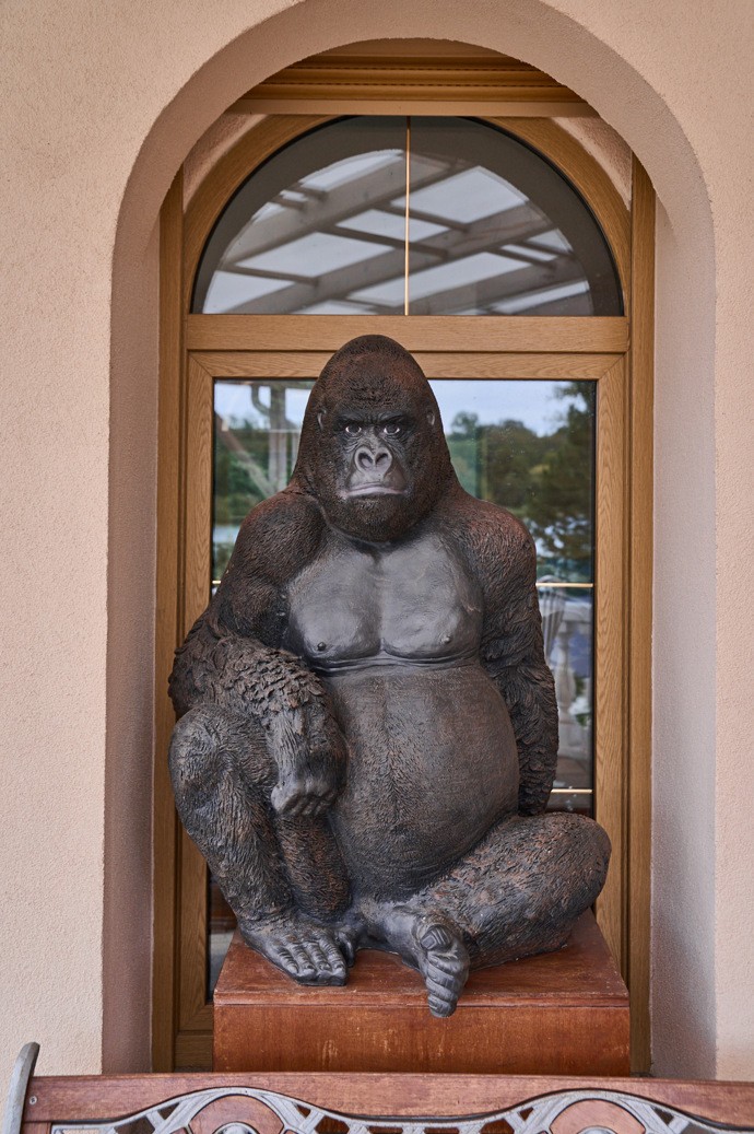 První, kdo vítá návštěvníky, je opičák.