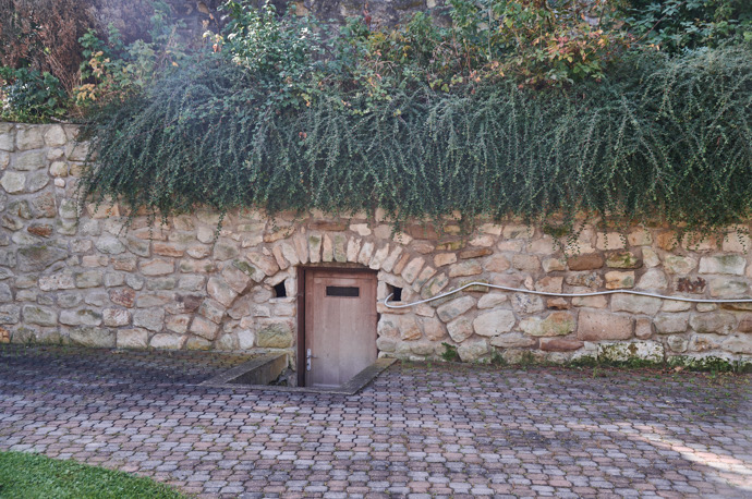 Na zahradě u Drobných je i vinný sklípek.