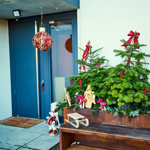 Před vchodem do domu Agáty Hanychové nemůžete minout dva nazdobené stromky.