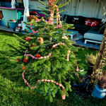 Také na zahradě nesmíte minout nazdobený smrček.