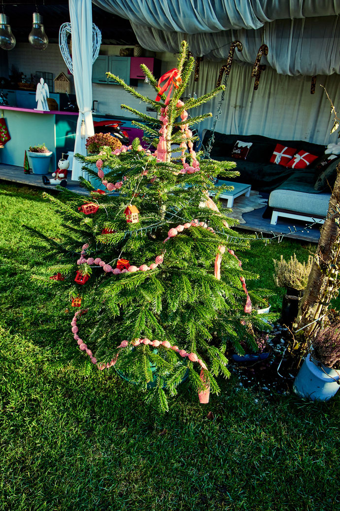 Také na zahradě nesmíte minout nazdobený smrček. 