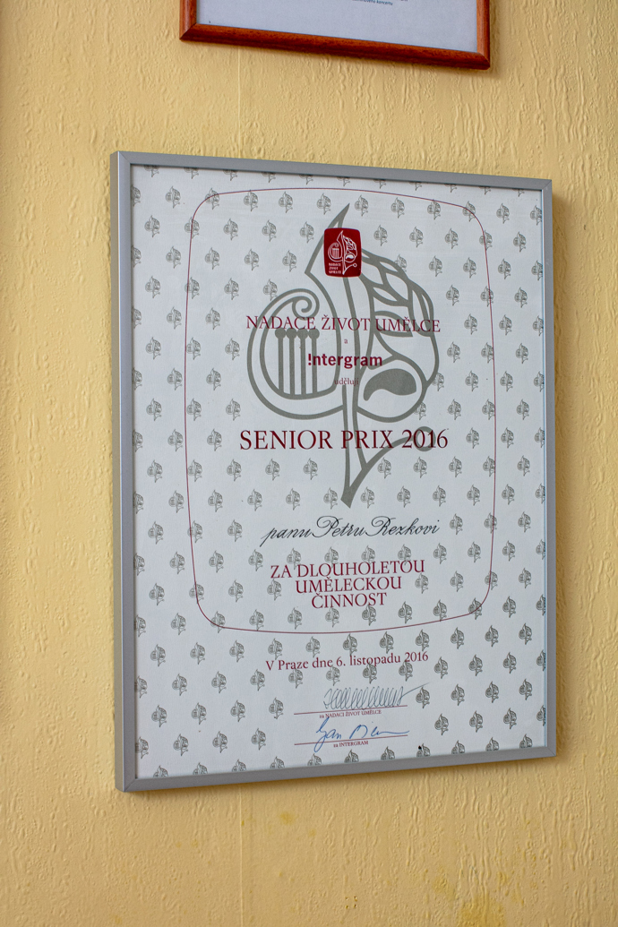 Cena za dlouhou uměleckou činnost