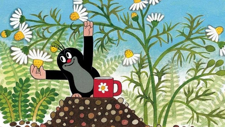 KVÍZ: Večerníček slaví 60! Jak dobře znáte nejoblíbenější postavičky z dětství?