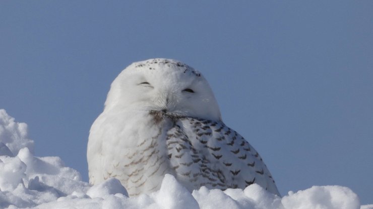 Denní horoskop na pondělí 29. 12. 2025: Váhy by měli využít změn a Ryby by měly pracovat se svým tělem i myslí