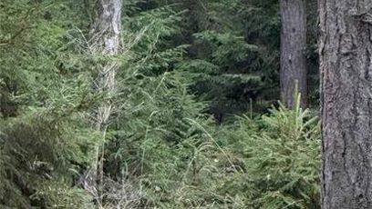 FOTO: Martina Čechová okomentovala první svátky bez Petra.