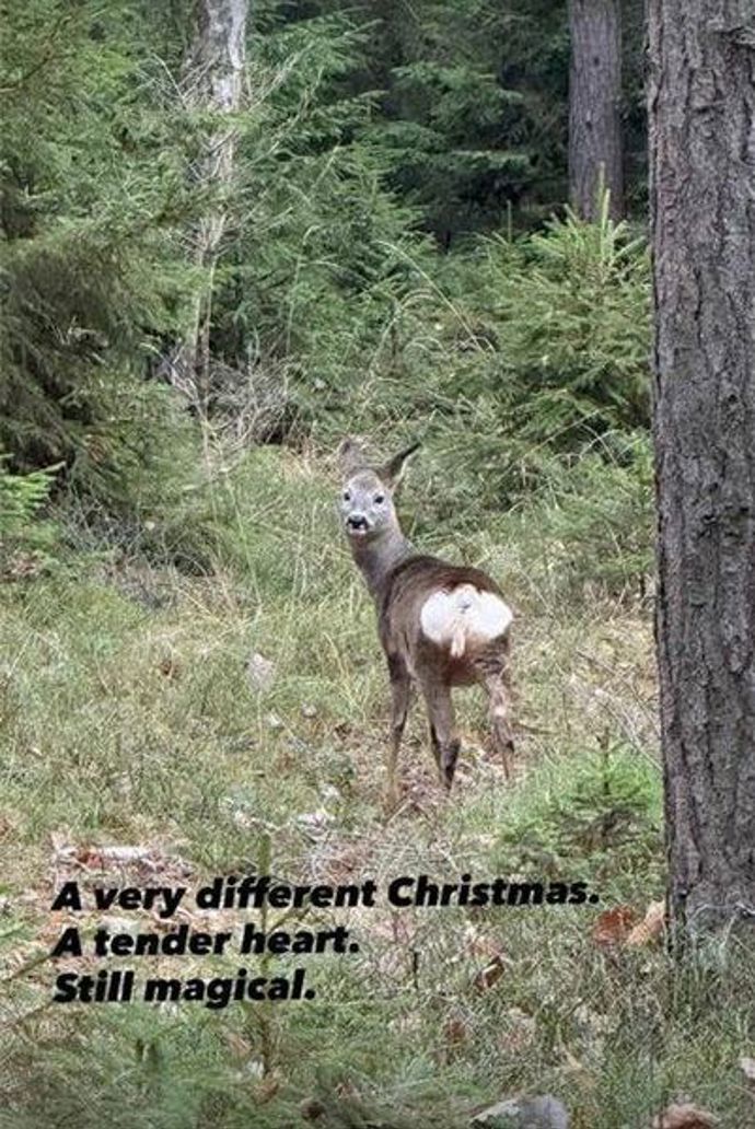 Martina Čechová okomentovala první svátky bez Petra.