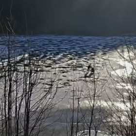 Led na přehradě Labská dosahuje tloušťky do 8 cm a to pouze při březích.