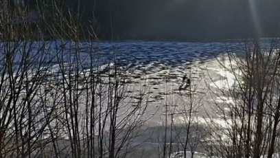 FOTO: Led na přehradě Labská dosahuje tloušťky do 8 cm a to pouze při březích.