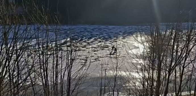 Led na přehradě Labská dosahuje tloušťky do 8 cm a to pouze při březích.