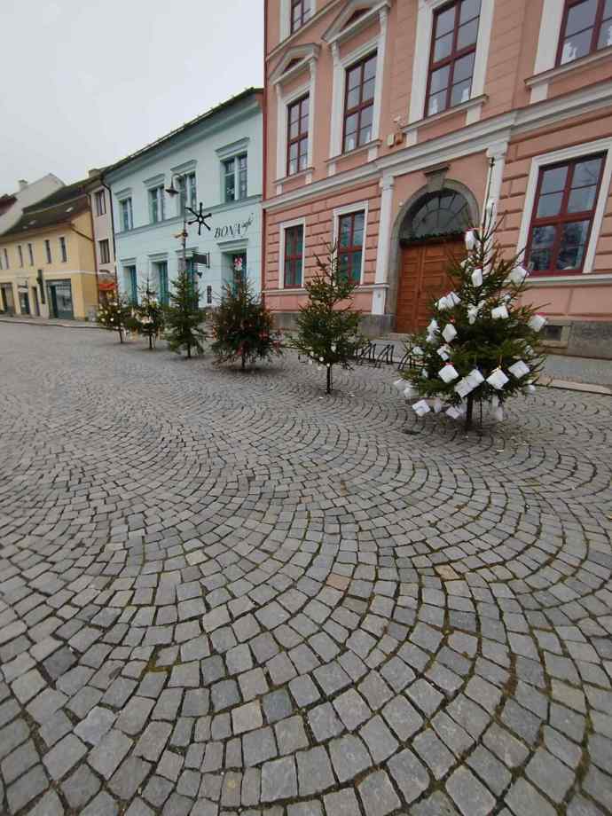 Před místní základní školou najdete stromečky zdobené dětmi.