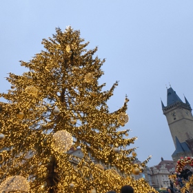 Vánoční strom na Staroměstském náměstí.