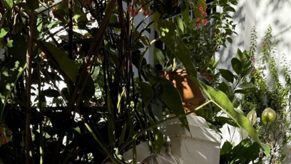 FOTO: Pavla Vaníčková ráda cestuje.