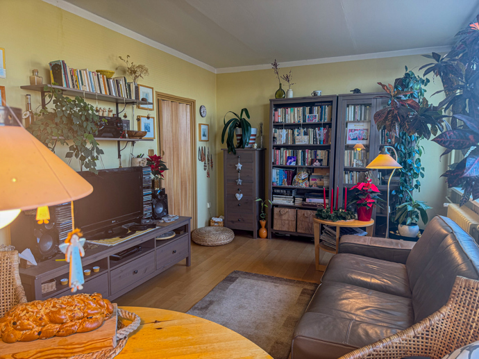 Pohled na obývací pokoj s knihovnou, kterou si Petr Rezek přál.