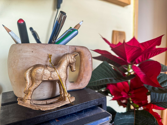 Pet Rezek je v čínském znamení Kůň, bylo tedy snadné pro Hanu vybrat mu tento dárek.