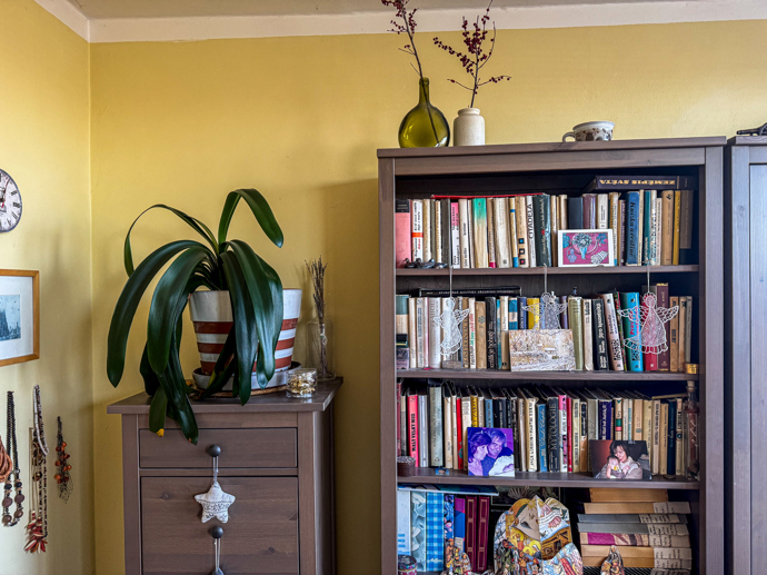Detail knihovny v bytě Petra a Hanky Rezkových