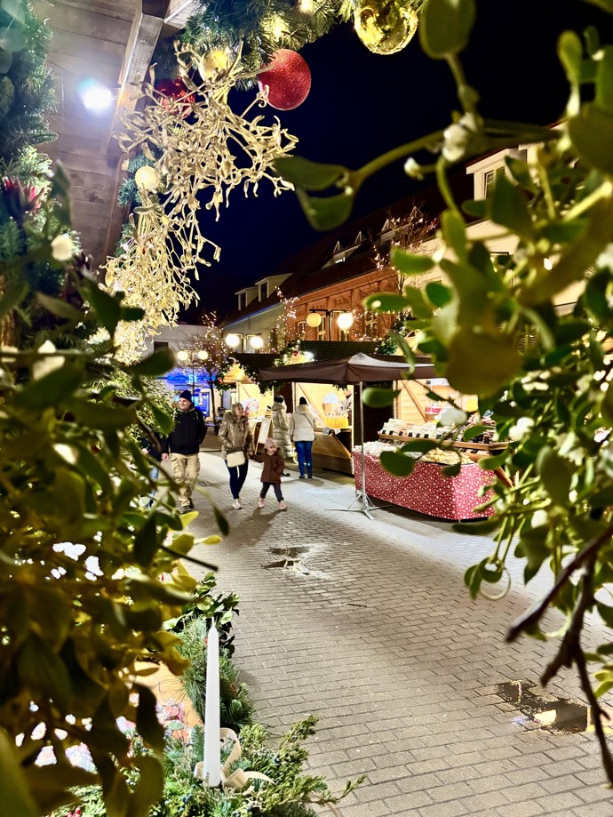 Na trhy můžete vyrazit také do lázeňského města Poděbrady.