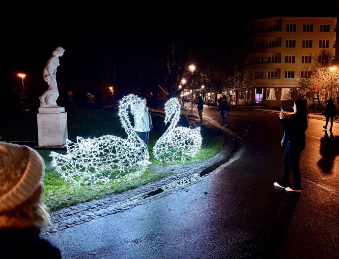 Nezapomeňte se vyfotit se svítícími labutěmi.