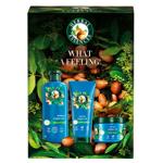 Regenerační dárková sada na vlasy s šamponem, kondicionérem a maskou, Herbal Essences, 325 Kč