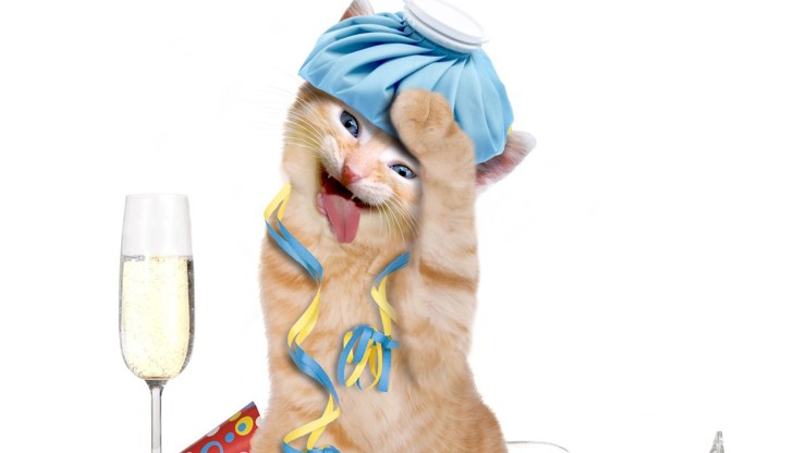 Oslavy bývají bujaré, rána bolestivá. Zkuste jednu z těchto 10 rad na kocovinu