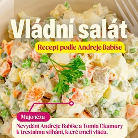 Babišův vánoční salát.