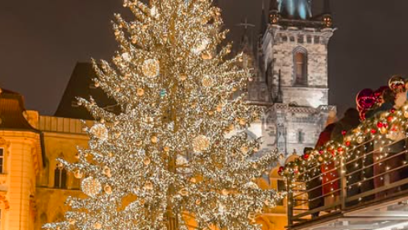 FOTO: Eva Perkausová zůstala v čechách.